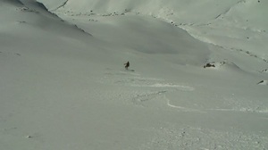 Ski, soleil, brouillard, oursins...