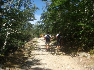 Randonnée à Vizzavona Randonnée à Vizzavona