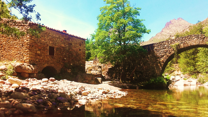 Le moulin de Muriccioli Le moulin de Muriccioli