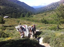 Asinao's touch ! Asinao's touch !