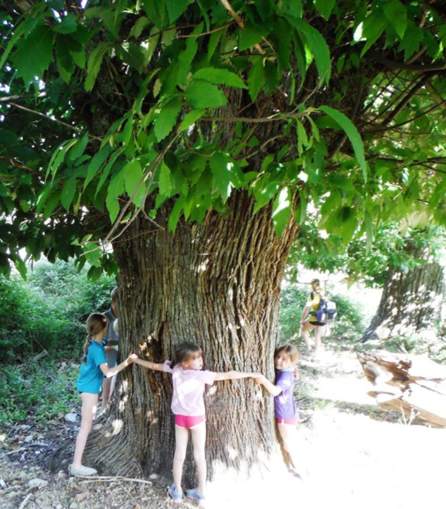 Les enfants en randonnée - Corse secrète Les enfants en randonnée - Corse secrète