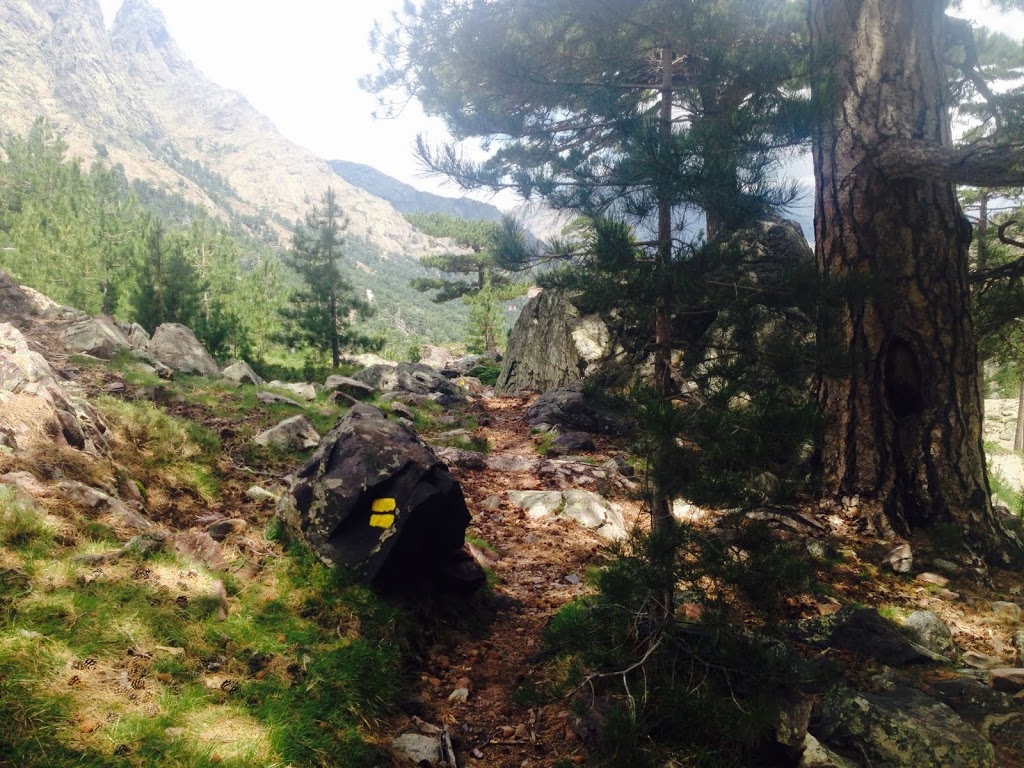 Balise jaune de la variante GR20 nord Cintu ©pnrc Balise jaune de la variante GR20 nord Cintu ©pnrc